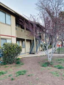 Apple Tree Apartments Image 1