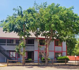 Apple Tree Apartments Image 1