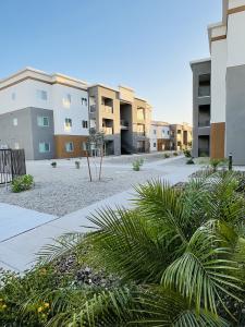 The Sonoran Image 8