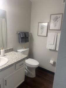 One Bedroom/1 Bath 11