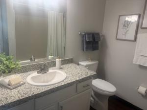 One Bedroom/1 Bath 9