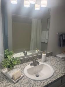 One Bedroom/1 Bath 7