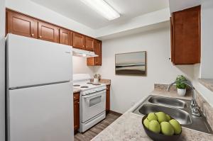 One Bedroom/1 Bath 14